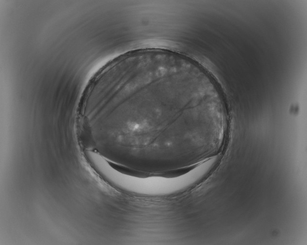 X0000113011024200910081218