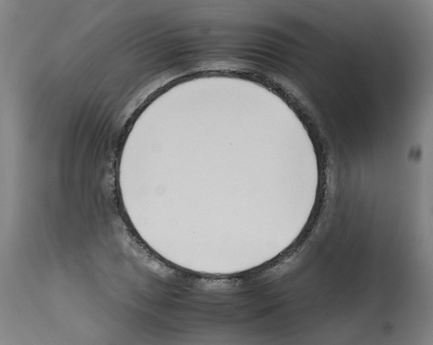 X0000113011025200910081218
