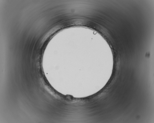 X0000113011026200910081218
