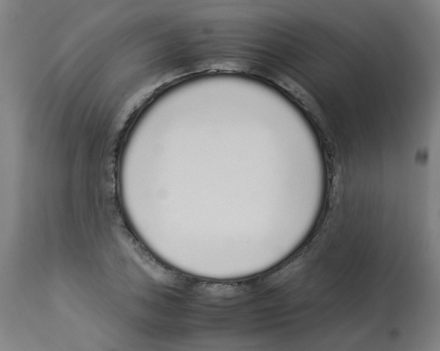 X0000113011027200910081218