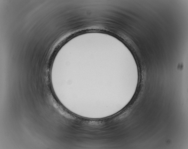 X0000113011029200910081218