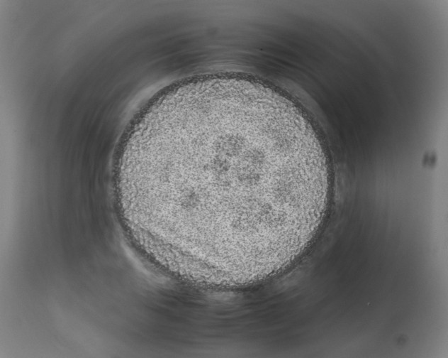 X0000113011031200910081218