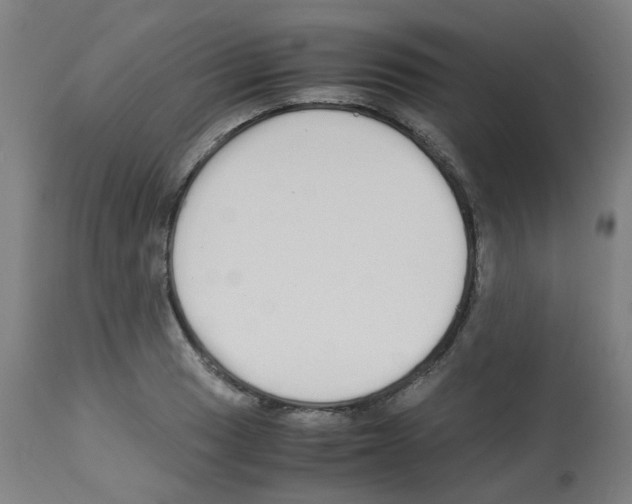 X0000113011033200910081218
