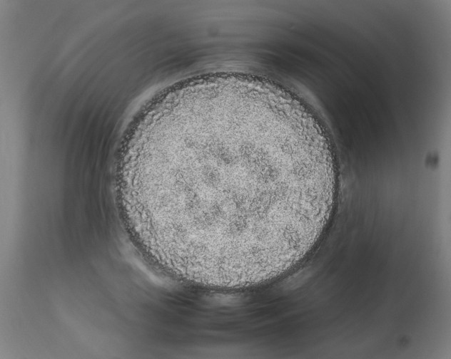 X0000113011035200910081218