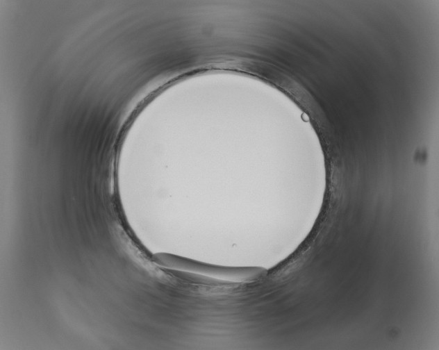 X0000113011036200910081218