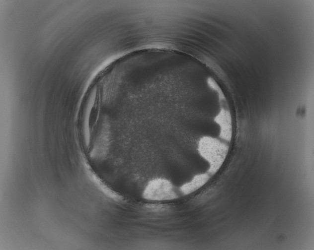 X0000113011037200910081218