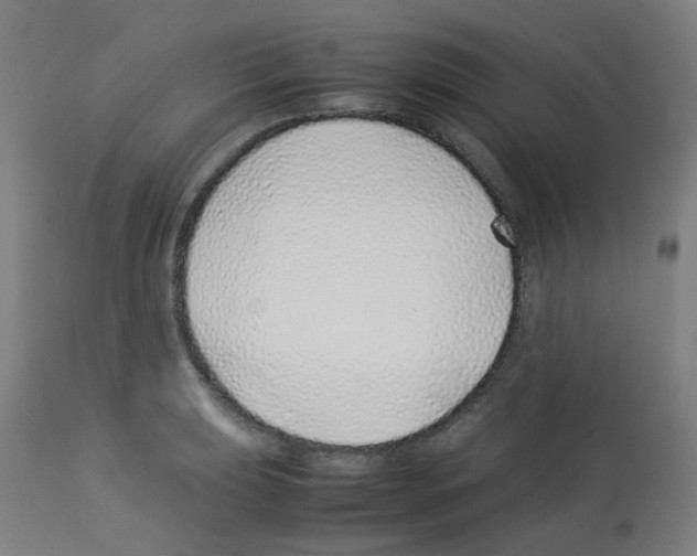 X0000113011039200910081218