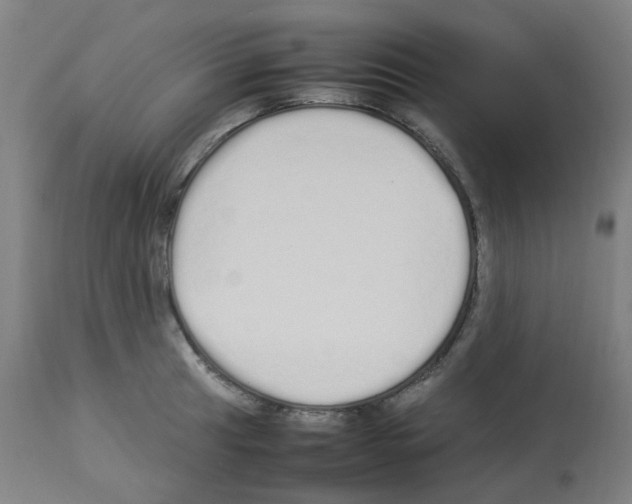 X0000113011041200910081218