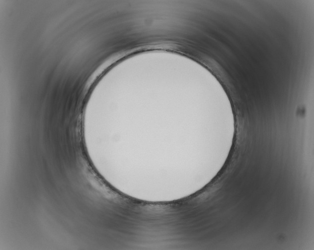 X0000113011044200910081218