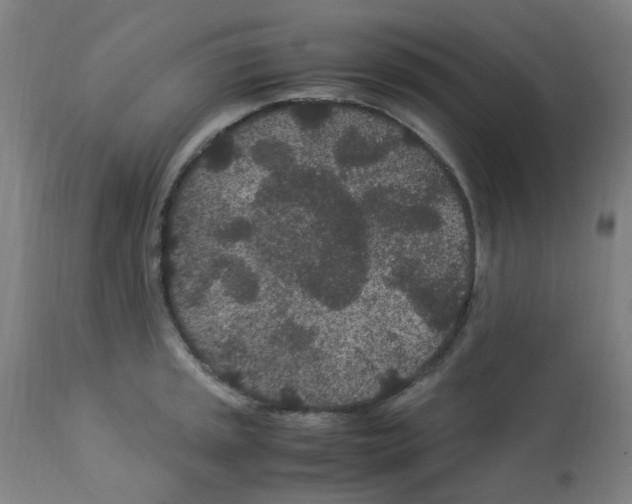 X0000113011045200910081218
