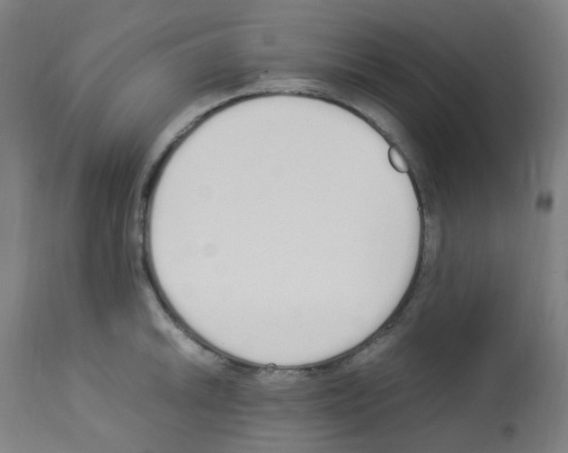 X0000113011046200910081218