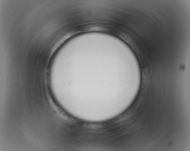 X0000113011047200910081218