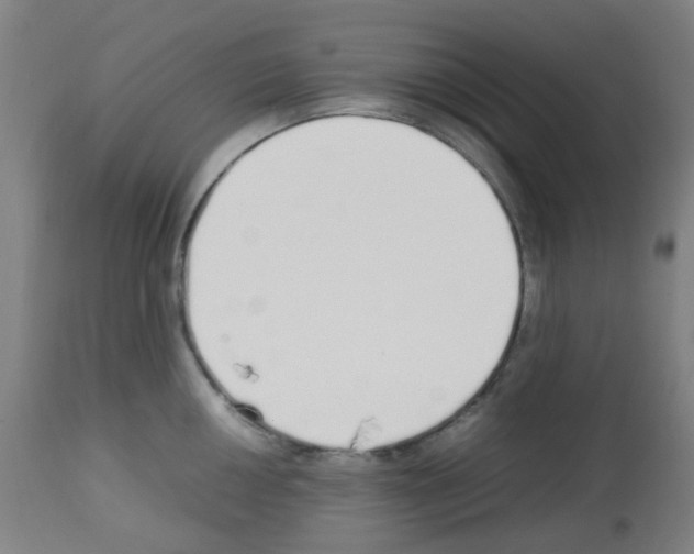 X0000113011050200910081218