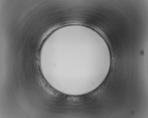 X0000113011051200910081218