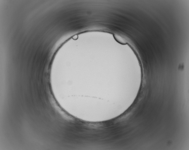 X0000113011053200910081218