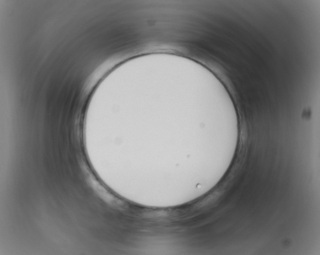X0000113011054200910081218