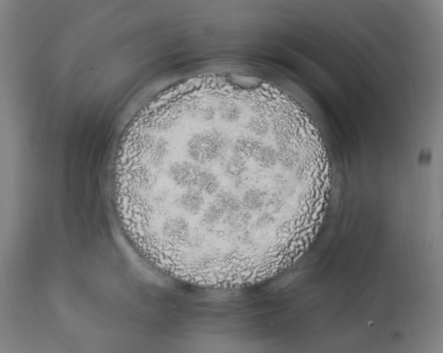 X0000113011055200910081218