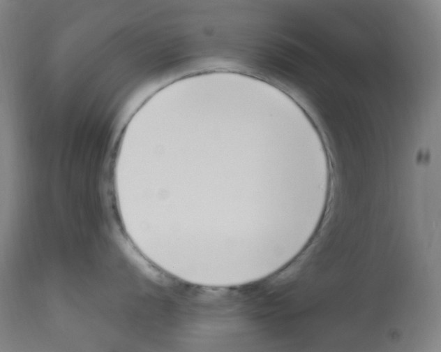 X0000113011056200910081218