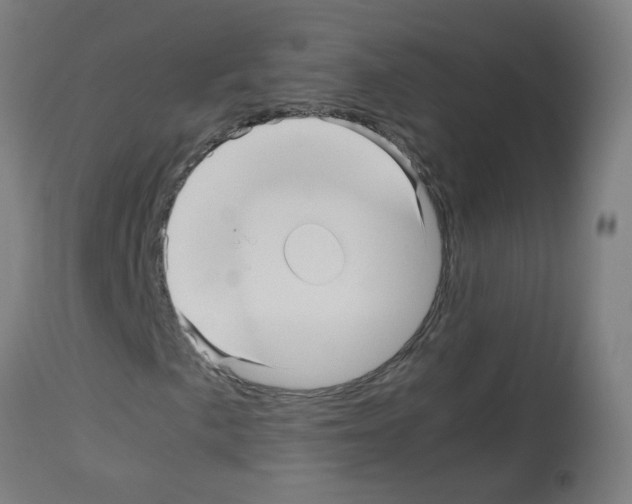 X0000113011057200910081217