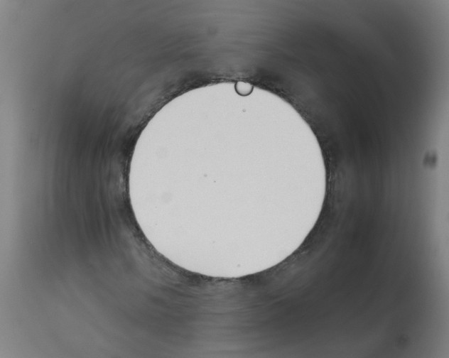 X0000113011058200910081217