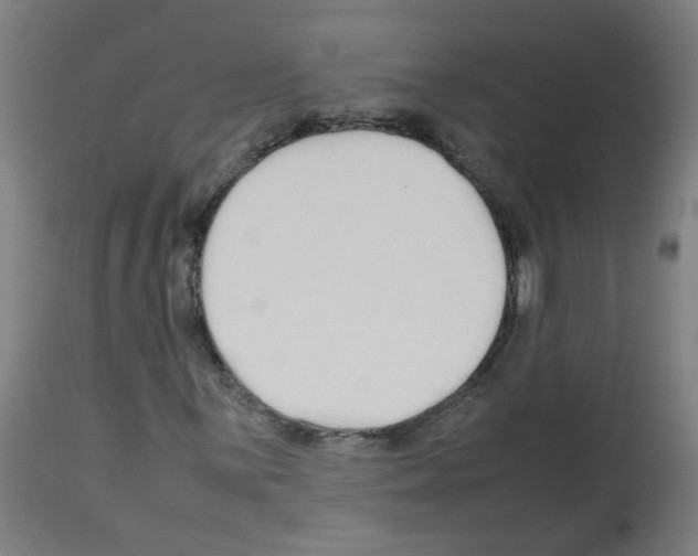 X0000113011059200910081217