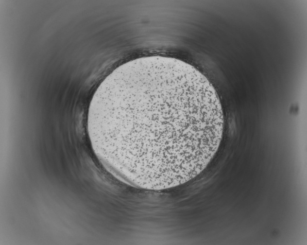 X0000113011060200910081217