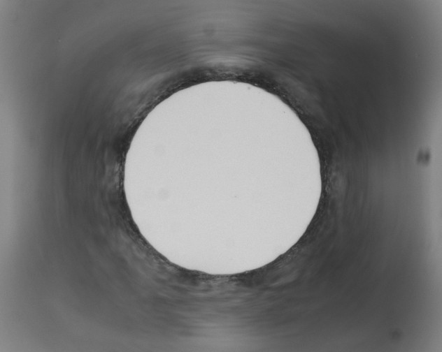 X0000113011061200910081217