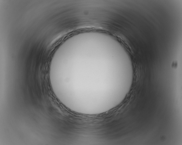 X0000113011064200910081217