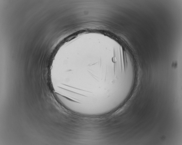 X0000113011065200910081217