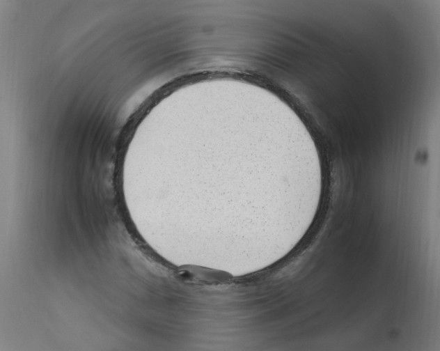 X0000113011066200910081217