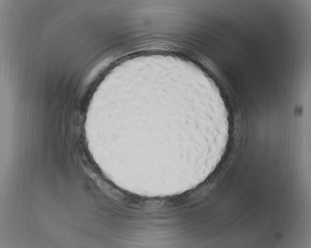 X0000113011067200910081217