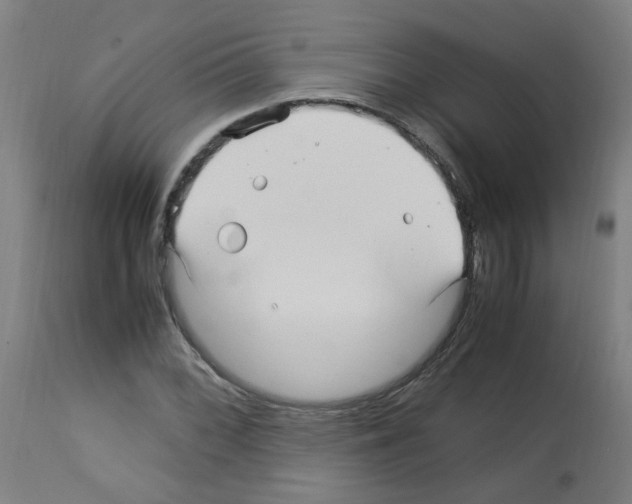 X0000113011068200910081217