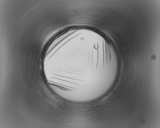X0000113011069200910081217