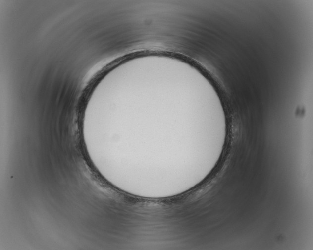 X0000113011070200910081217