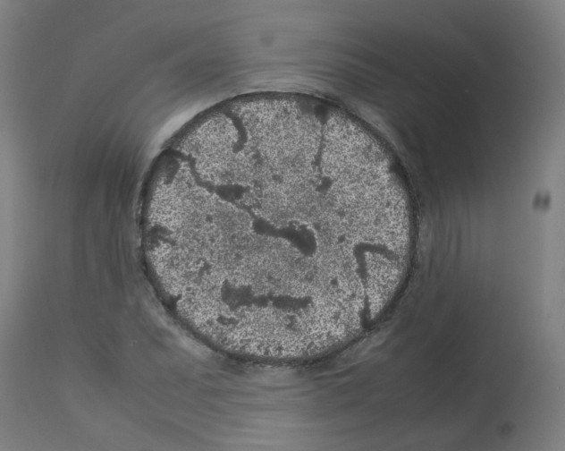 X0000113011071200910081217