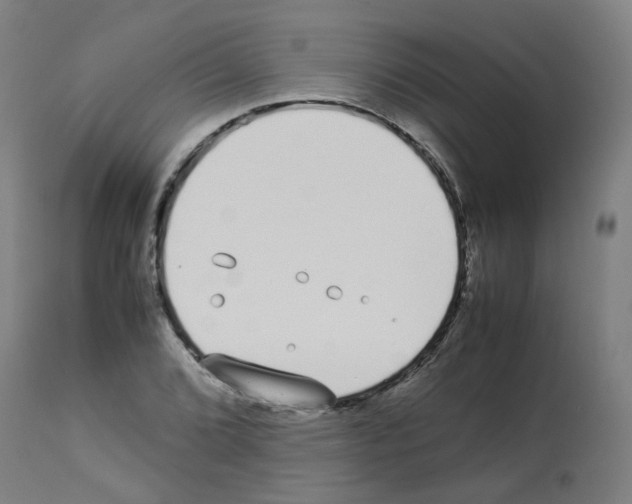 X0000113011072200910081217