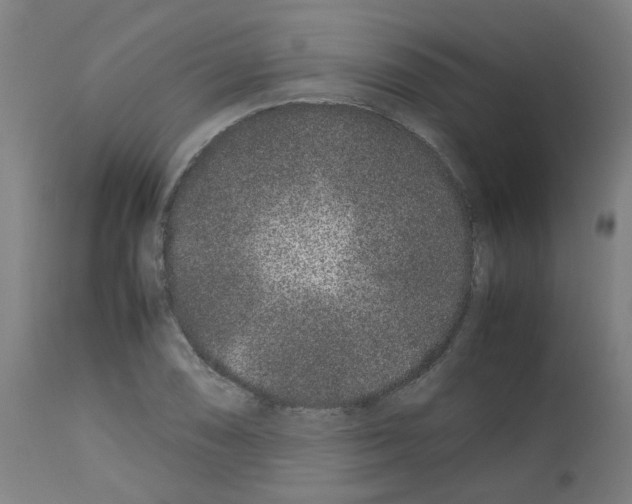 X0000113011074200910081217