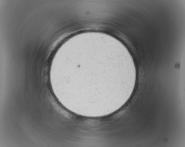 X0000113011075200910081217
