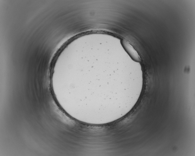 X0000113011076200910081217