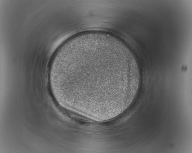 X0000113011077200910081217