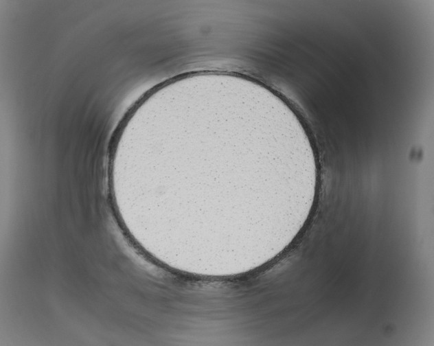 X0000113011079200910081217