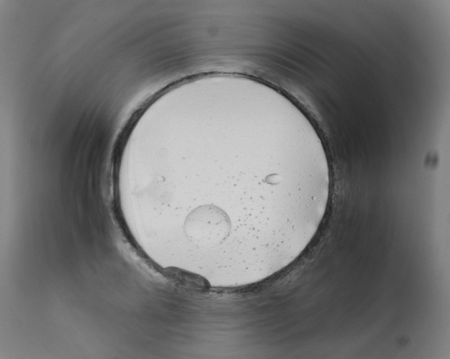 X0000113011080200910081217