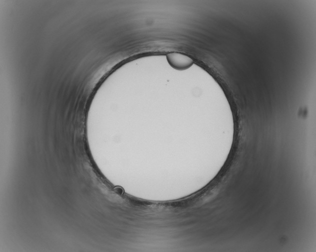 X0000113011081200910081217