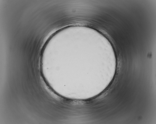 X0000113011083200910081217