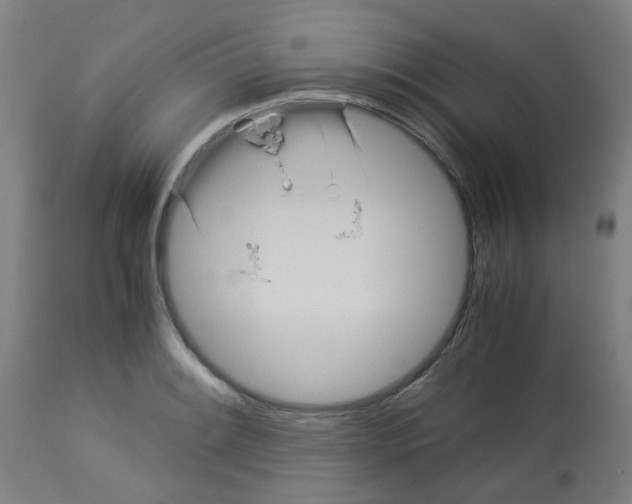 X0000113011084200910081217