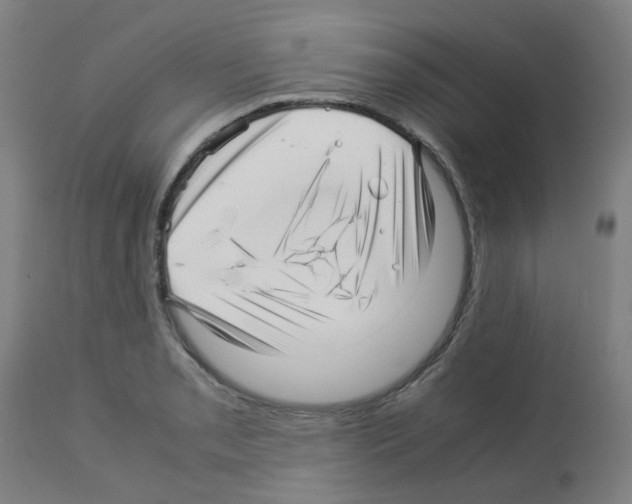 X0000113011085200910081217