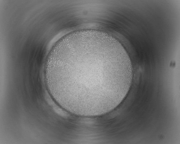 X0000113011086200910081217
