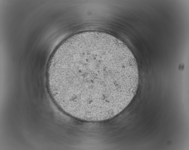 X0000113011087200910081217