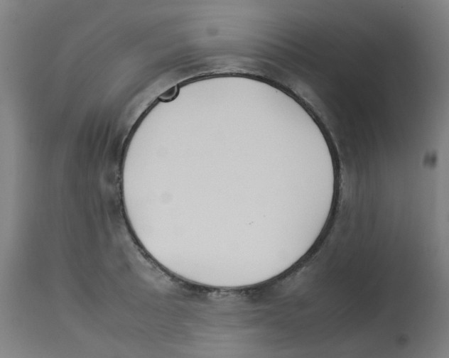 X0000113011089200910081217