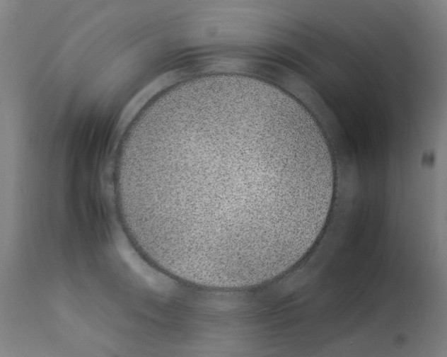 X0000113011090200910081217